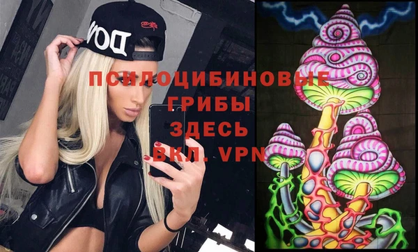 тгк Покровск