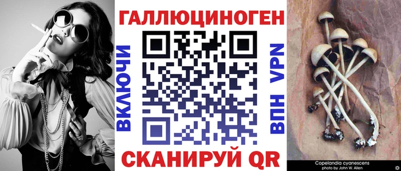 Псилоцибиновые грибы прущие грибы  Спасск-Рязанский 